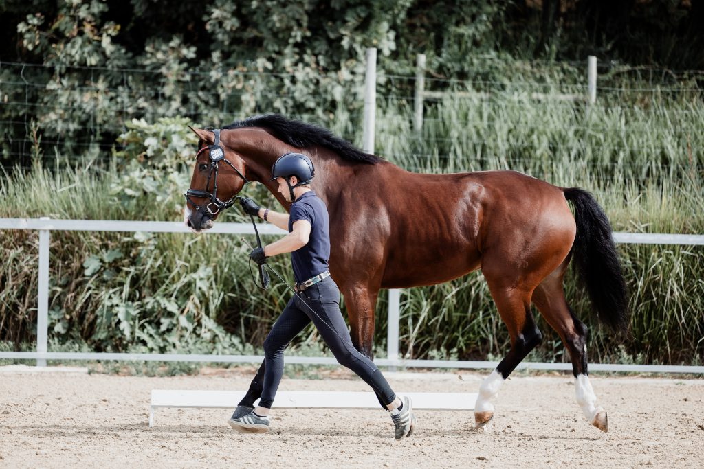 jinete guiando su caballo a pie
